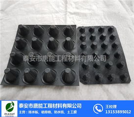 高密度聚乙烯濾水板 建筑防水的創(chuàng)新選擇與專(zhuān)業(yè)制造